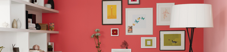 Indoor Decor